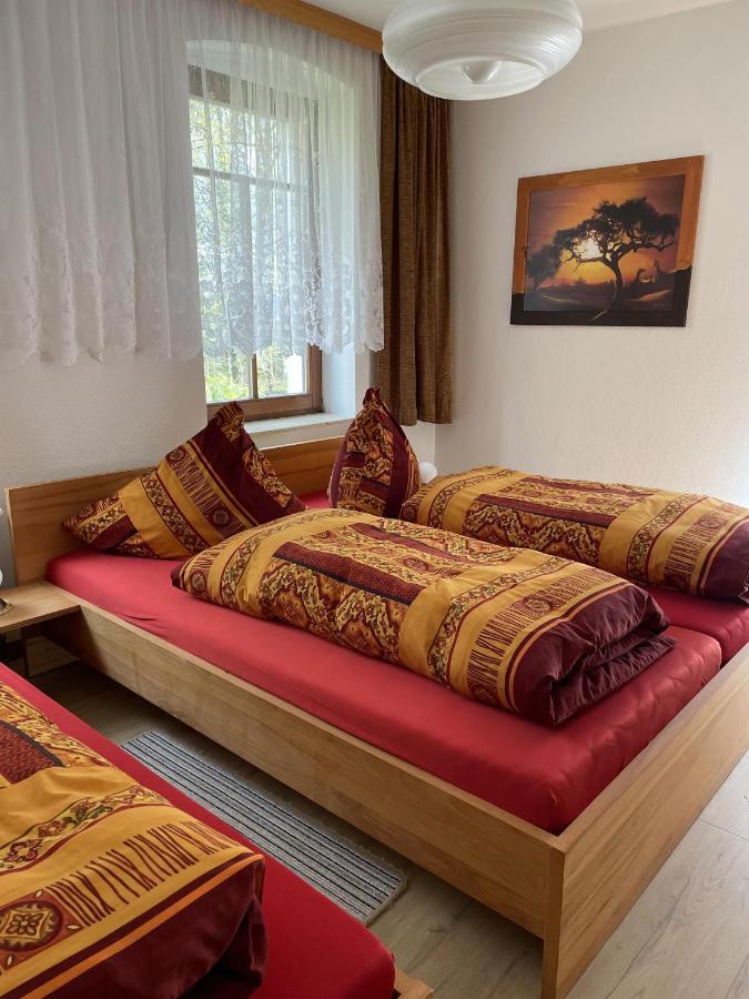 Apartamento Privathaus Wehle Kurort Gohrisch Exterior foto