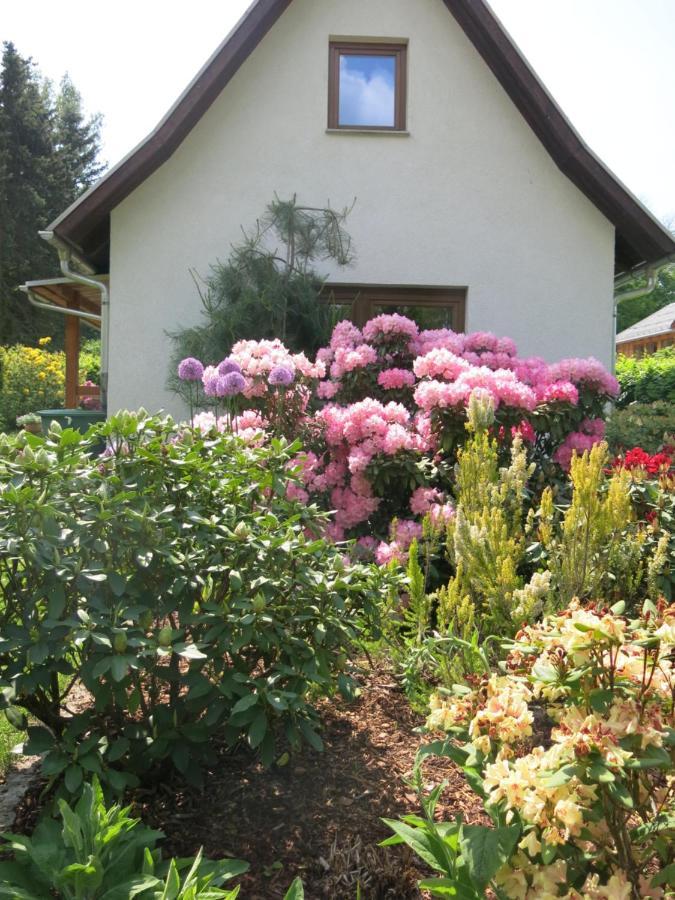 Apartamento Privathaus Wehle Kurort Gohrisch Exterior foto